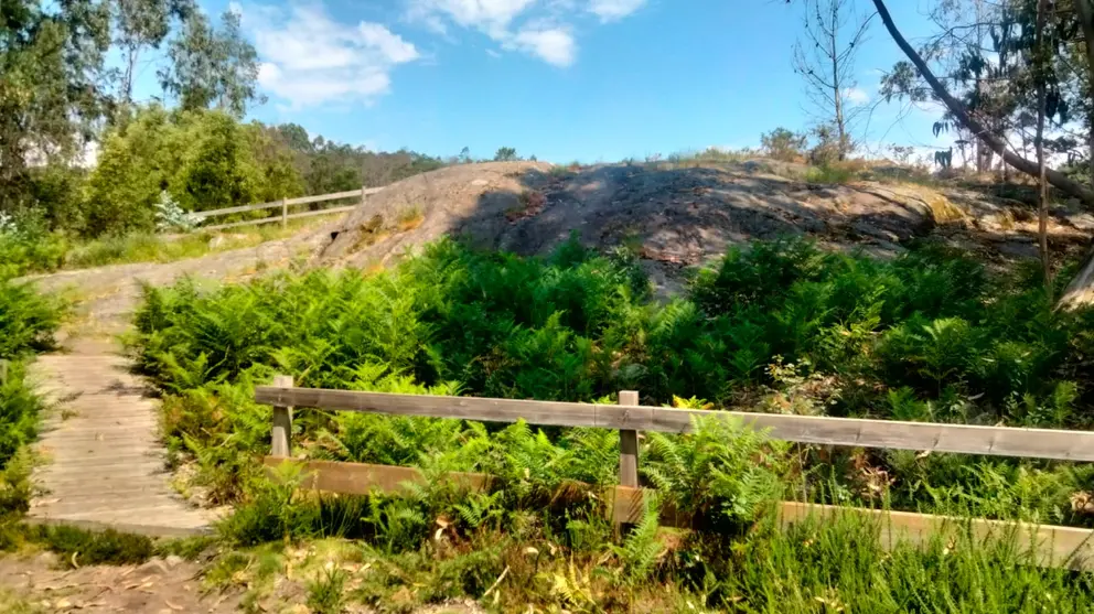 IMG-20260622-WA0006
