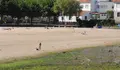 Satisfacción no BNG, ao deterse a Ampliación de Pantaláns en Arealonga.
