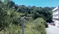 Xoán Carlos González esixe a limpeza de parcelas nos arredores do casco urbán de Redondela.
