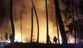 O goberno de Redondela aproba o Plan Contra Incendios Forestais sen contar coas Comunidades de Montes.