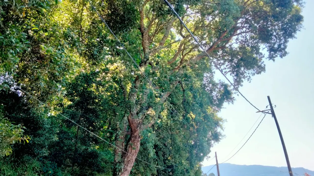 IMG-20260317-WA0003