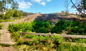 IMG-20260622-WA0006