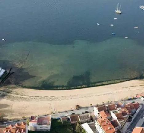Parcela onde est&aacute; prevista a edificaci&oacute;n.