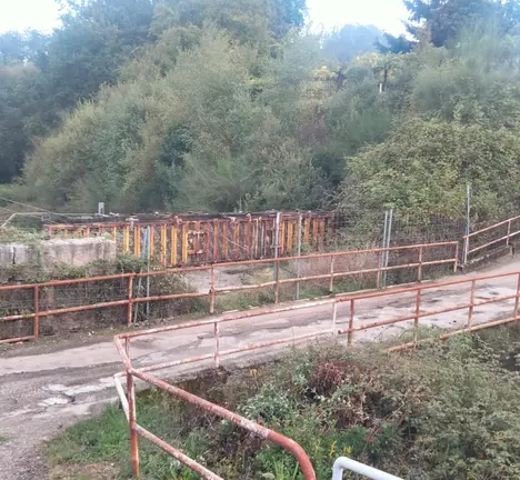 IMG-20251020-WA0000