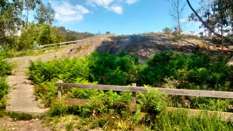 IMG-20260622-WA0006