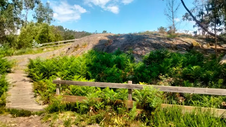 IMG-20260622-WA0006