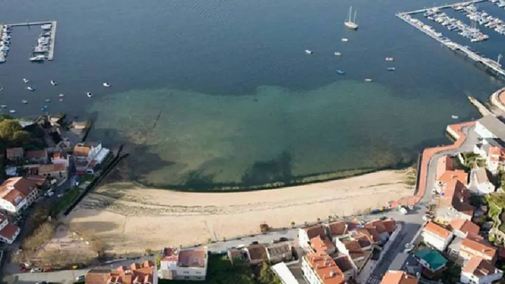 Parcela onde est&aacute; prevista a edificaci&oacute;n.